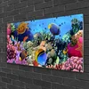 tulup.si Slika na akrilnem steklu Barrier reef narava 100x50 cm 4 obešalnika