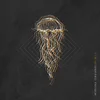 Midas Fall - Cold Waves Divide Us (Limited Edition) (Coloured) (LP)