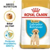 Royal Canin | Puppy Labrador Retriever hrana za mladiče