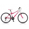 POLAR Trinity 26 2015