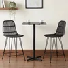 vidaXL vidaXL Barski stol 2 pcs Črna 44 x 54 x 96 cm Rattan in jeklo, (5000297082)