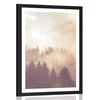 Plakat s paspartujem megla nad gozdom - 30x45 no frame