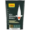 SERA KOI PROFESSIONAL POMLADANSKO/JESENSKA HRANA, 500G