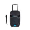 Blaupunkt profesionalni audio sistem PA12