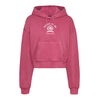 Tommy Jeans Majica burgund/bela
