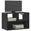 TV ormarić crni 60x31x39,5 cm konstruirano drvo i metal