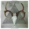 Communist Daughter - The Cracks That Built The Wall (LP)