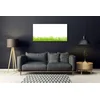 tulup.si Slika na steklu Grass nature rastlin 120x60 cm 2 obešalnika