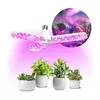 LED sijalica za uzgoj biljaka PLANTY E27/24W/230V 1200K