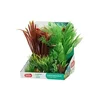 Akvarijske rastline PLANTKIT 2 set L Zolux