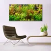 tulup.si Slika na steklu Aquarium fish rastline 140x70 cm 4 obešalnika