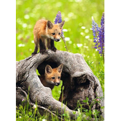 Ravensburger Puzzle Radovedne lisice XXL 300 kosov