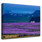 shumee Platno Narava Polje sivke 50x40 cm Vijolični cvetovi