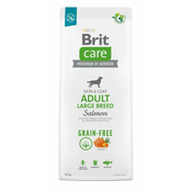 Extrastore Brit Care brezžitni odrasli losos 12 kg velike pasme