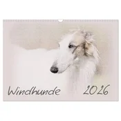 Windhunde 2026 (Wandkalender 2026 DIN A3 quer), CALVENDO Monatskalender
