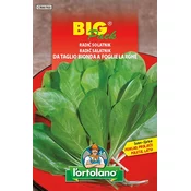 RADIČ SOLATNIK - Big pack 20g