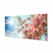 tulup.si Stenska plošča za kuhinjo Magnolia nebo sonce 125x50 cm