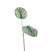Umetna kalateja veja 50cm