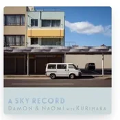Damon & Naomi & Michio Kurihara - A Sky Record (LP)