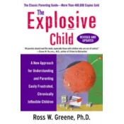 Explosive Child