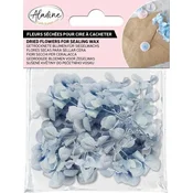 Aladine 72667 Suho Cvetje Blue