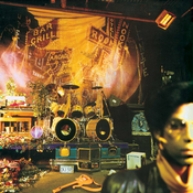 Prince - Sign O The Times (180g) (Deluxe Edition) (Reissue) (Remastered) (4 LP)
