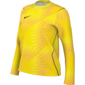 Nike Dres z dolgimi rokavi Dri-FIT Gardien VI Goalkeeper Long Sleeve Women
