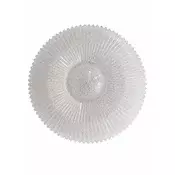 Plafonjera YP-79 30w