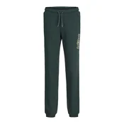 Jack & Jones Junior Hlače JPSTGORDON pastelno rumena/temno zelena/bela