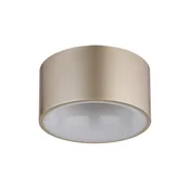 Globo 56964G - LED plafonsko svetlo RAYMOND LED/12W/230V pr. 15 cm 3000K mesing