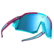 Gorska očala Dynafit Sky Evo Sunglasses - beetred/silvretta cat 4
