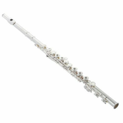 Flavta PS 501 CEF Sonare Powell