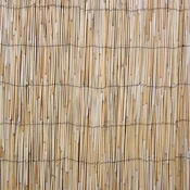 Homestar Trstična ograja 1x5m