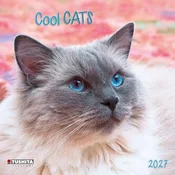 Cool Cats 2027