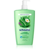 , Schwarzkopf Schauma 7 Herbs Freshness zeliščni šampon za normalne in mastne lase 1000 ml