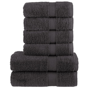 Vidaxl vidaXL 6-delni komplet brisač Premium SOLUND, antracit, 600 g/cm2