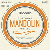 DAddario EJM75C