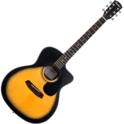 Pasadena PGC-100 Sunburst Akustična kitara Jumbo
