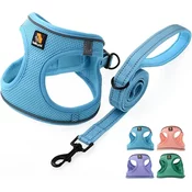 BELLA & PAL oprsnica za male pse z povodcem - Sky Blue - XL