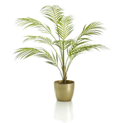 Umetna palma Kamadorea 85cm v zlatem loncu - 76 do 100 cm