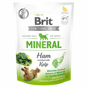 Treat Brit Care Dog Functional Snack Mineral Puppy šunka 150g