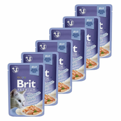 Hrana v vrečki BRIT Premium Cat Salmon in Jelly 6x85 g