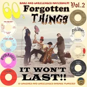 Various Artists - 60s Forgotten Things Vol. 2 - It Wont Last!! (LP)