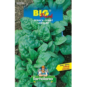 ŠPINAČA LORELAY BIG PACK 20gr