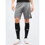 Puma Kratke hlače teamLIGA26