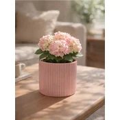 Sinsay - Keramička saksija sa rebrastom strukturom - pastelno roze