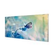 tulup.si Slika na akrilnem steklu Pisane metulj 140x70 cm 4 obešalnika