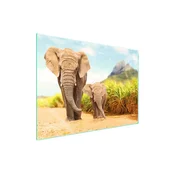 shumee Steklena zaščitna plošča za štedilnik 70x52 Elephant