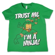 Filmska majica otroška - I´m A Ninja - HYBRIS - NIC-12-TMNT004-H60-3-GR