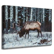 shumee Platno s sliko Živali Kanadski jelen 40x30